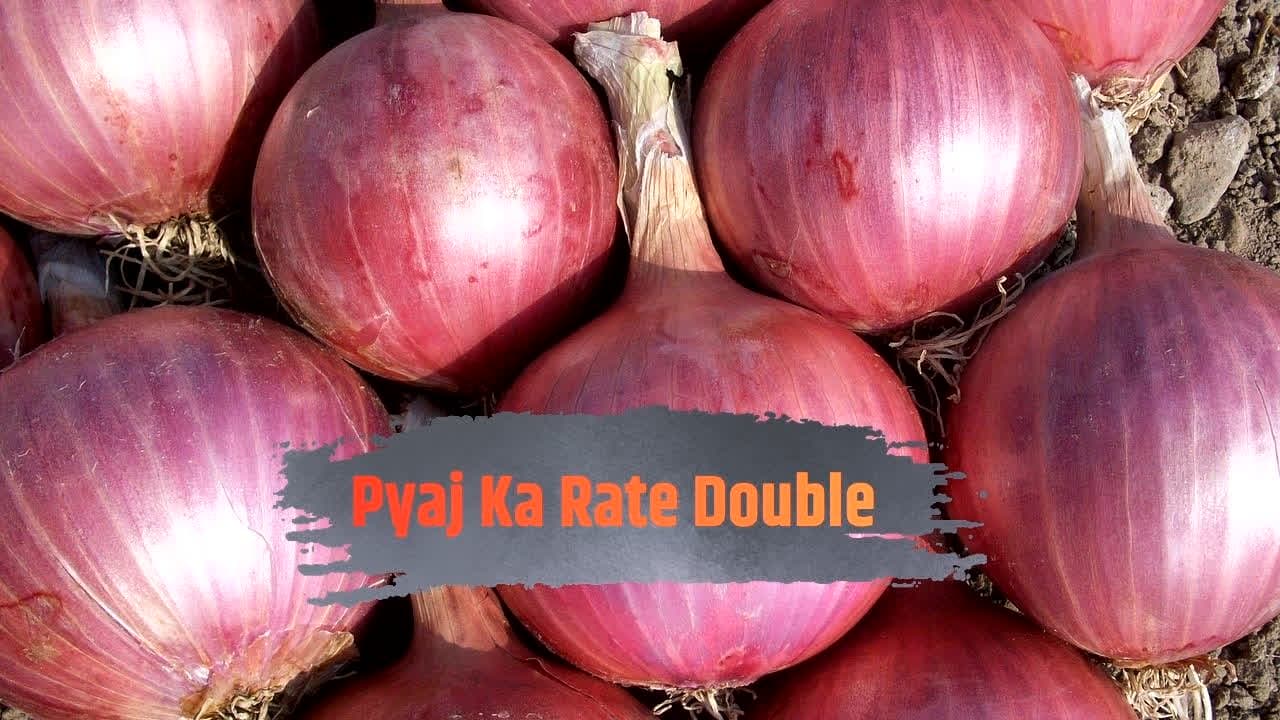 Pyaj Ka Rate Double: जिस प्याज के लिए देते थे 30 रुपये, अब वही 60 के पार! अचानक बढ़े दामों से रसोई का बजट हुआ बेहाल