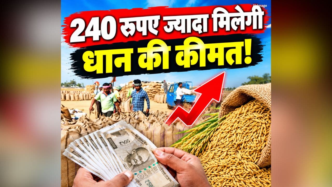 Paddy Price Latest News: 240 रुपए ज्यादा मिलेगी धान की कीमत! दशहरा से पहले किसानों को सरकार ने दिया बड़ा तोहफा, बिजली बिल में भी रहेगी इतनी छूट