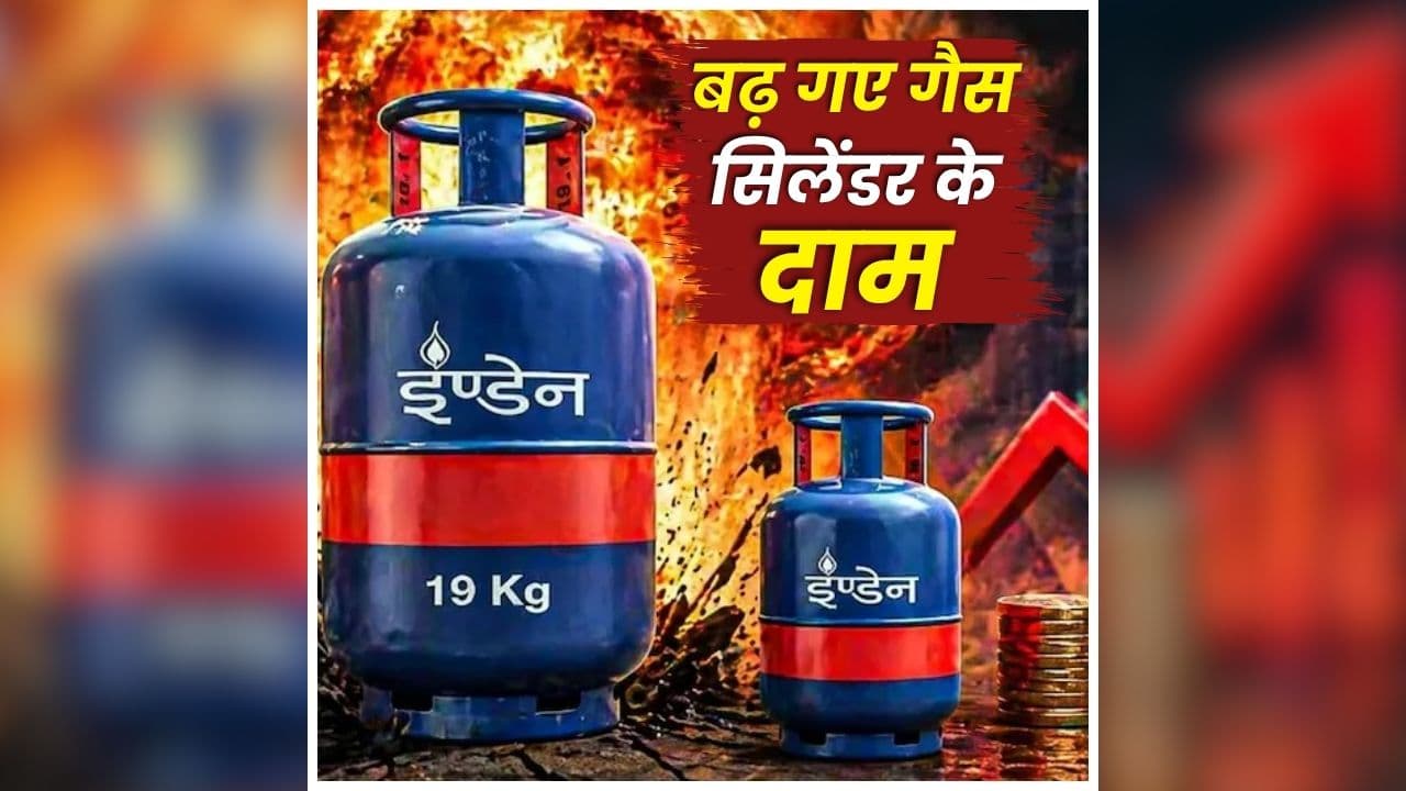 LPG Cylinder Price Hike: त्योहारी सीजन से पहले एक और बड़ा झटका, बढ़ गए गैस सिलेंडर के दाम, खरीदने के लिए देना होगा 2500 रुपए से ज्यादा पैसा